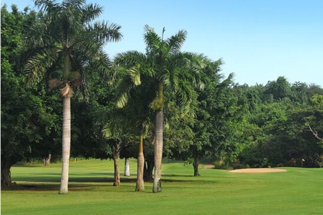 Caymanas Golf Club, Jamaica 2