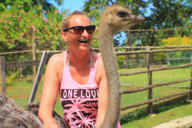 Reggae Horseback Riding at Wild Crocodile Adventure Park