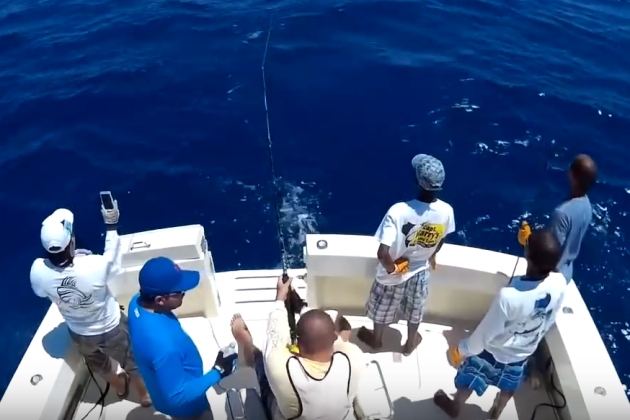 Montego Bay International Marlin Tournament
