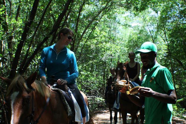 Reggae Horseback Riding at Wild Crocodile Adventure Park