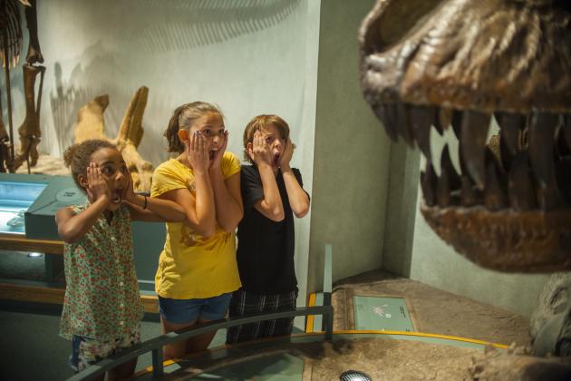 Kids showing fear of dinosaur at the Denver Museum of Nature & Science.