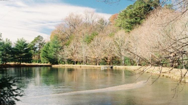 Northlake Christmas Tree Farm Pond