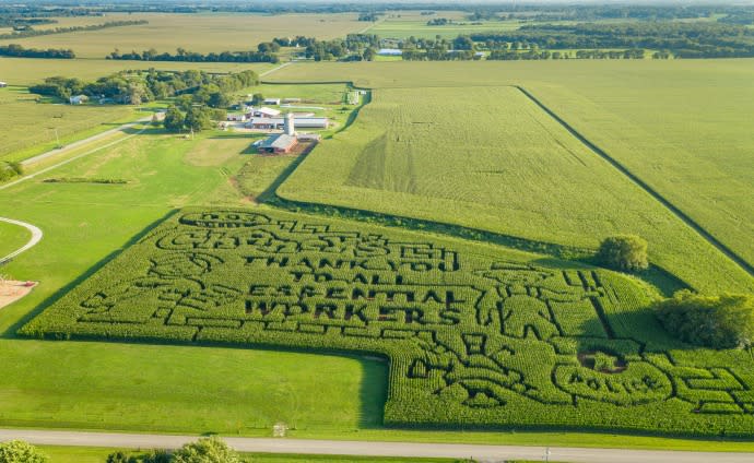 Aerial view of the Chaney's Dairy Barn Corn Maze in Bowling Green Kentucky