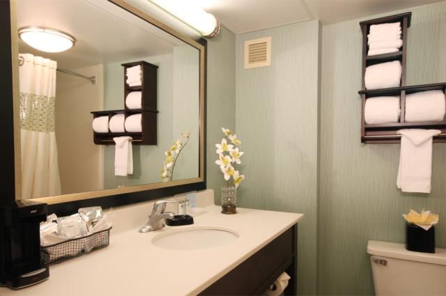 Hampton Inn Bathroom