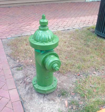 Green fire hydrant in Dublin, Ohio
