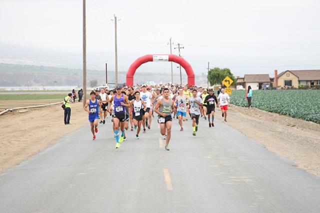 Salinas Valley Half Marathon
