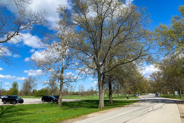 Shoaff Park Southwest Drive and Trail - Parking