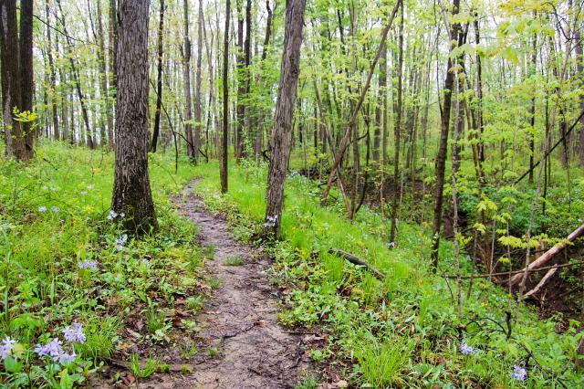 Dustin, Johnson, Whitehurst Nature Preserve