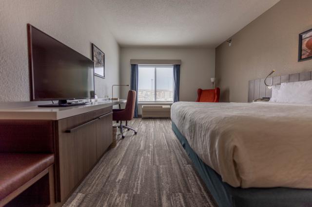King Guestroom