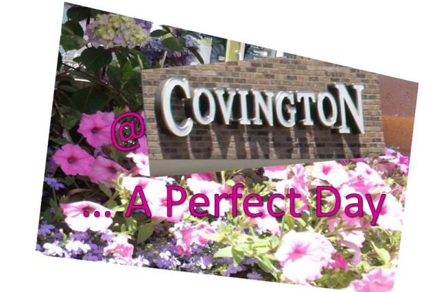 Perfect Day at Covington