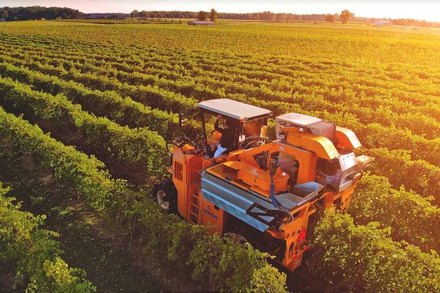 Harvest
