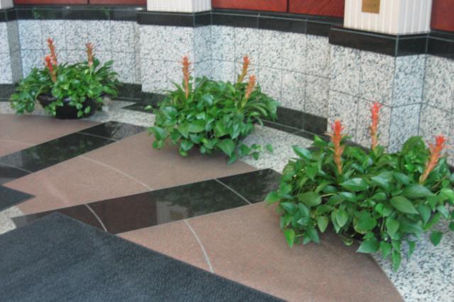 Sand-point-3-plants.jpg
