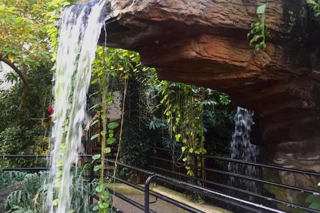 Enjoy the Cascading Waterfall in the Tropical Garden