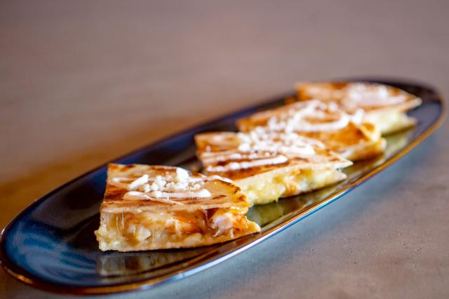 Quesadilla at SolBird