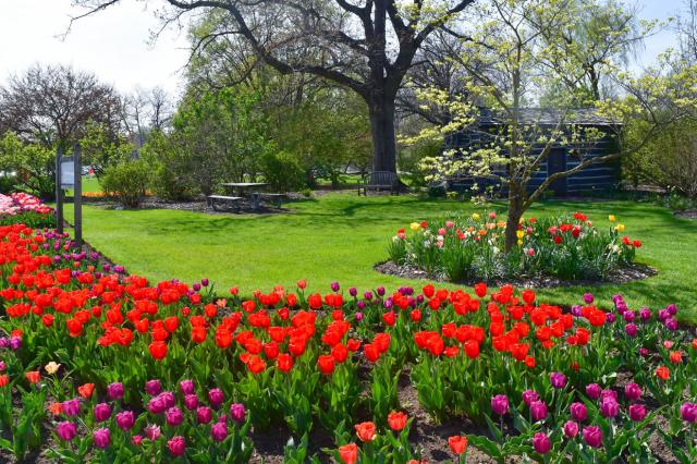 Foster Park in Spring