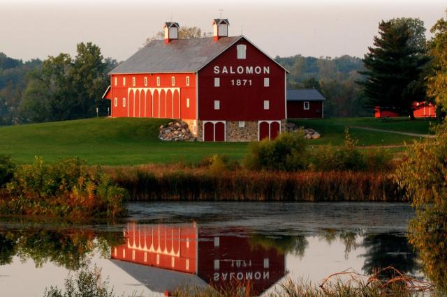 Salomon Farms