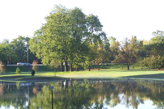 Swinney Park