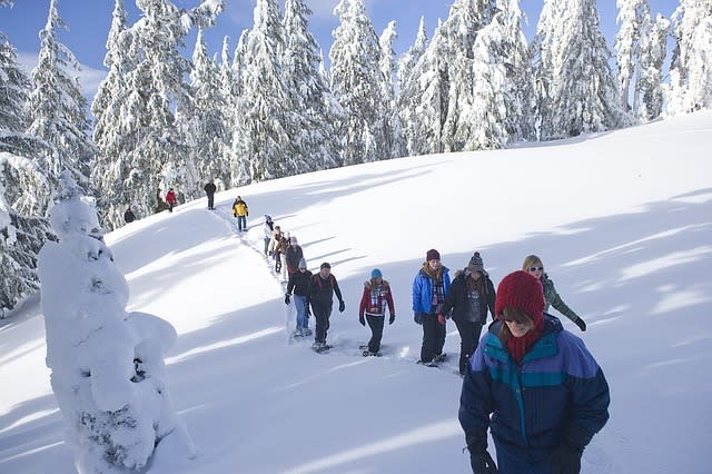 Hiking Necessities for Washington State Trails near Bellevue