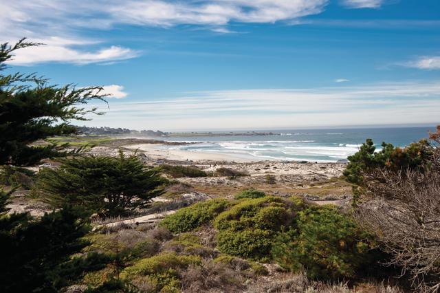 Things To Do In Monterey This Memorial Day Weekend May 24 26 2019
