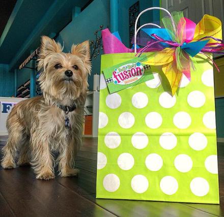 dog @ bath & body fusion