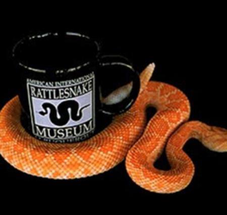 Rattlesnake curled around a mug.