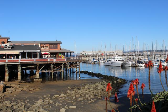 Old Fisherman's Wharf