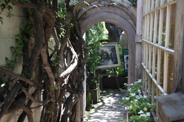 4 Ways to be Mindful in Carmel by the Sea