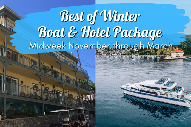Best of Winter Ferry and Hotel