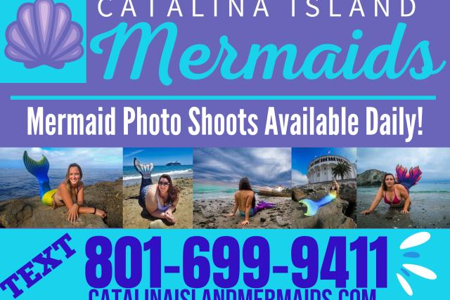 Catalina Island Mermaids1