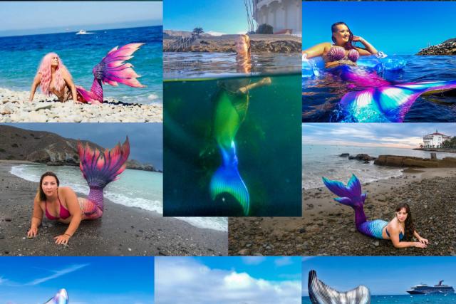 Catalina Island Mermaids3