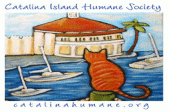 catalina-island-humane-society-01472691987h5Y.gif