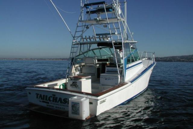 Davey S Locker Sportfishing Amp Whale Watching