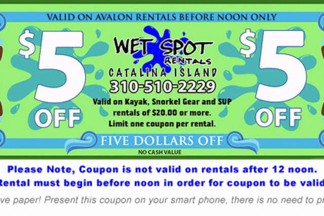 wet-spot-rentals-01472691987p1S.gif