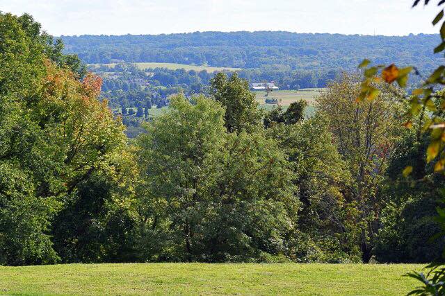 Images of trees on top of Baldpate Mountain
