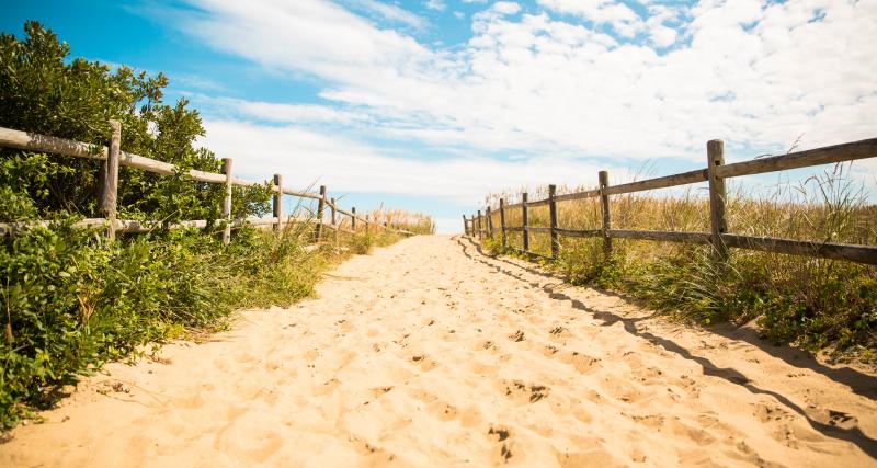 10 Free Things To Do In Virginia Beach This Summer Virginia Beach This Summer