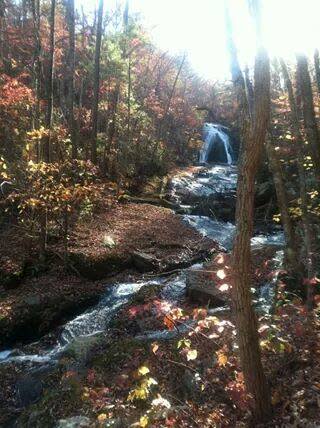 Roaring Run Falls - Fall Hike