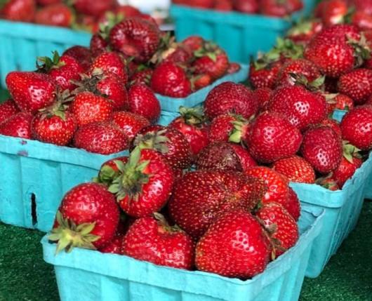 U-Pick Strawberries
