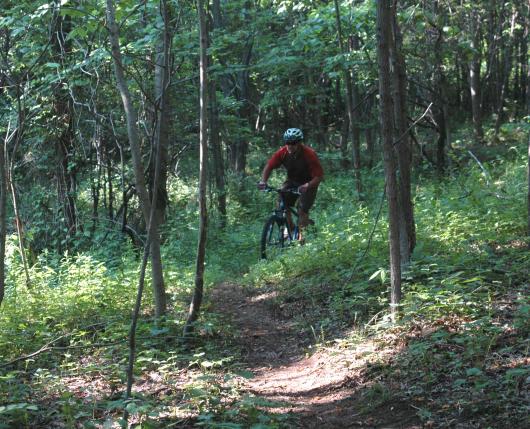 bear creek mountain bike race