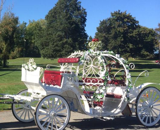 princess carriage rentals