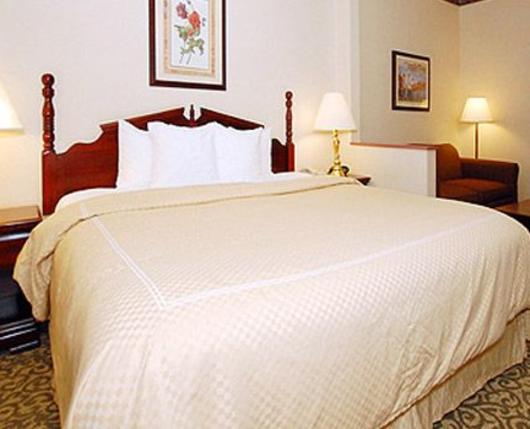 Comfort Suites University Bethlehem Pa 18015