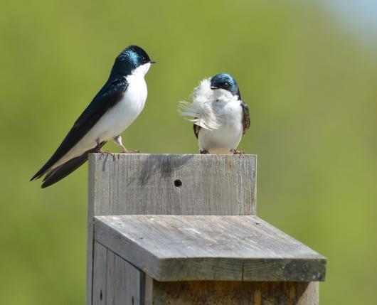 Escape to Nature's Playground: Uncover the Magic of Jacobsburg Environmental Education Center