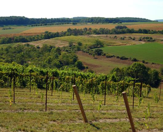 Lehigh Valley Wine Trail