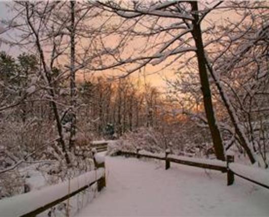 Hawk Mountain Sanctuary Kempton Pa 19529