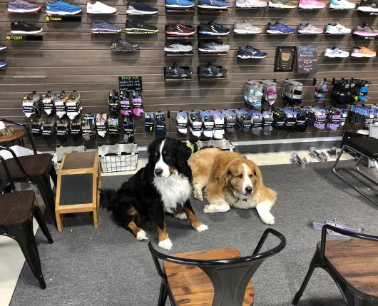 Keystone Running Store | Allentown, PA 18106