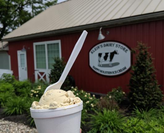 Ice Cream at Klein Farms