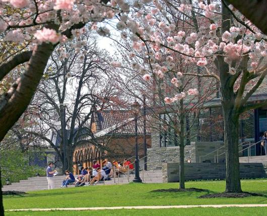 Lafayette College Easton Pa 18042