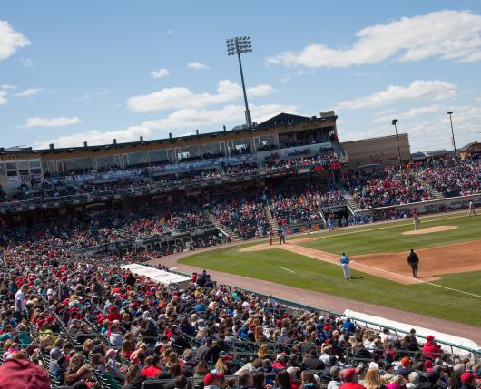 Lehigh Valley IronPigs Baseball | Allentown, PA 18109