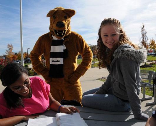 Penn State Lehigh Valley Center Valley Pa 18034