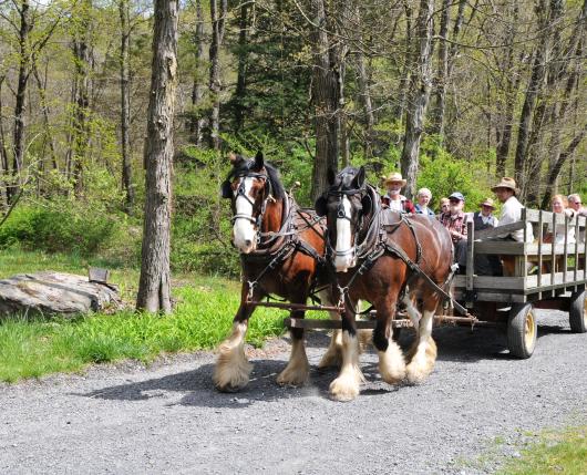 Quiet Valley Living Historical Farm Stroudsburg Pa 18360