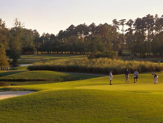 Tiger S Eye Golf Links Tiger S Eye Golf Links